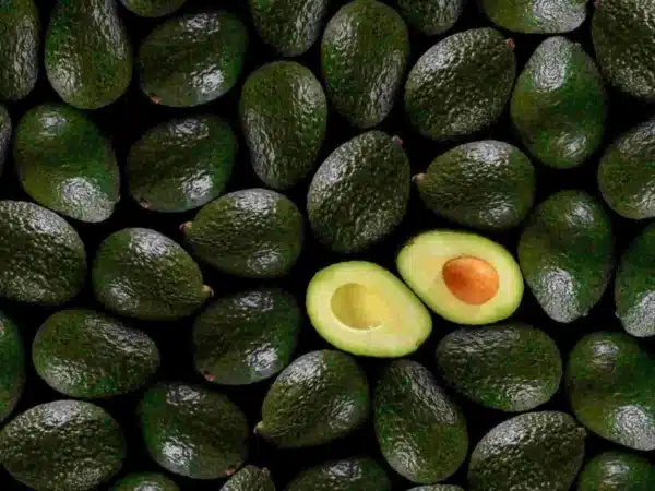 Aguacate - Avocado - Image 4