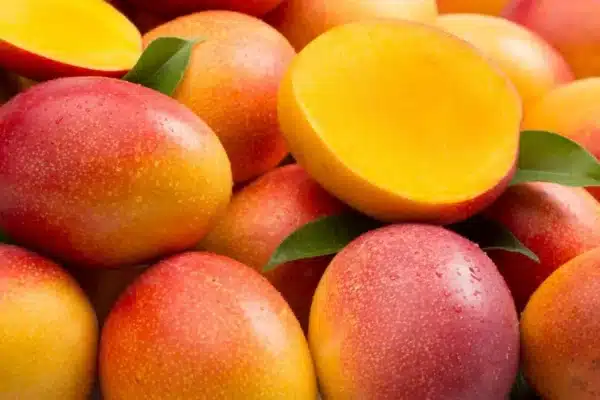 Mango - Image 3