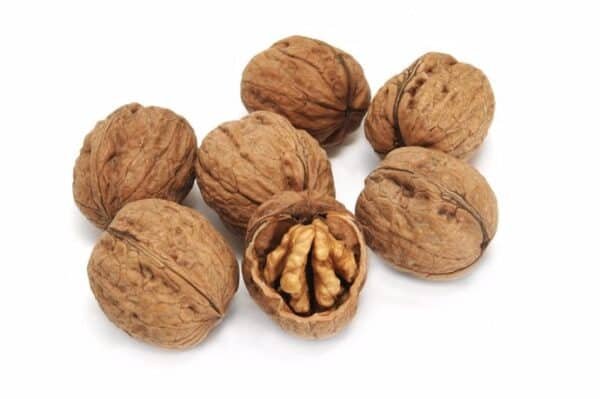 Nueces cascara - Image 3