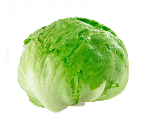 ICEBERG