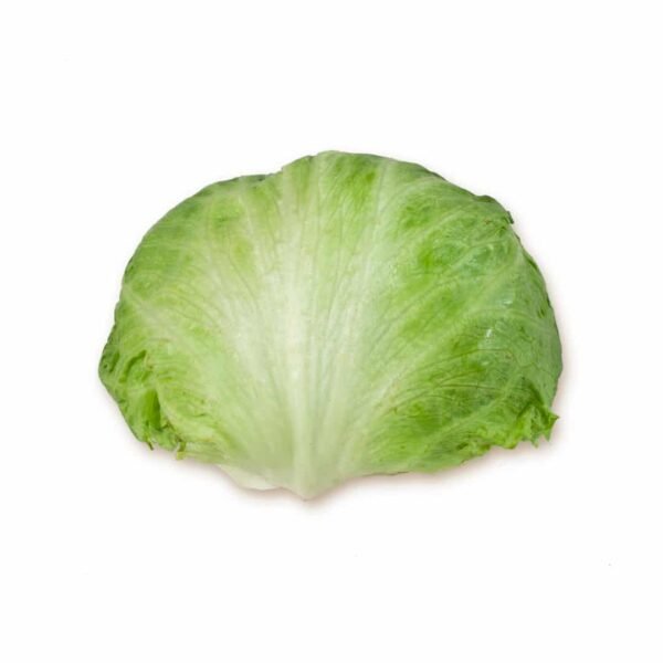 ICEBERG - Image 3